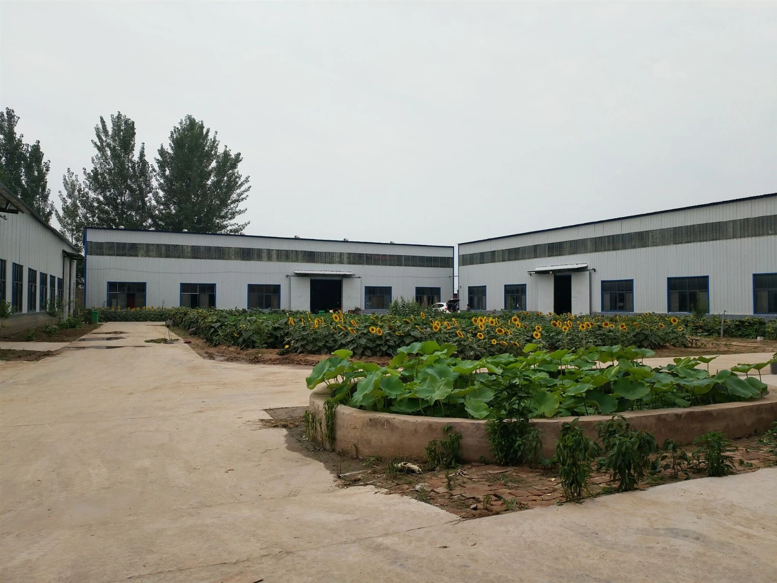 1 1