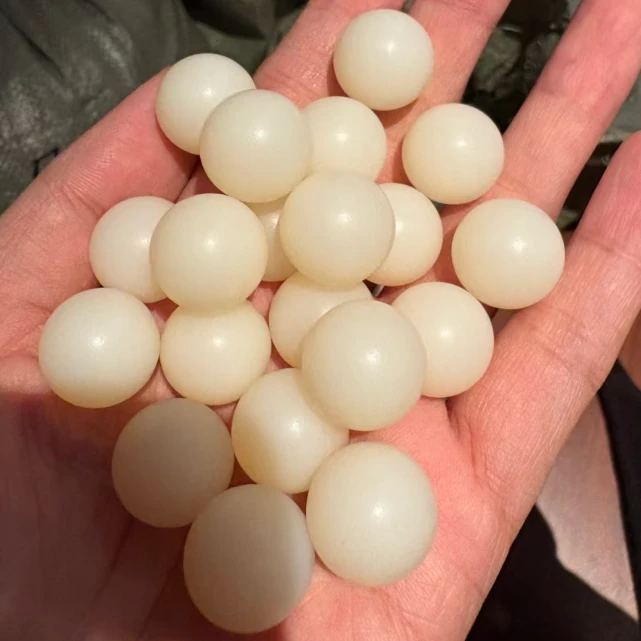 Nylon 66 Plastic Ball Nylon 66 Plastic Ball